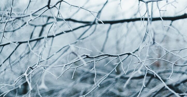 Иллюстративное фото \ Pixabay.com