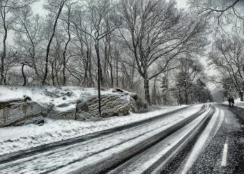 Иллюстративное фото \ Pixabay.com