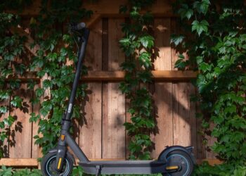 Иллюстративное фото \ Pixabay.com