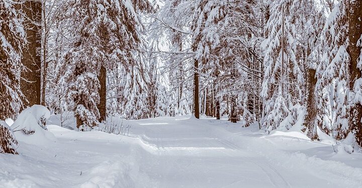 Иллюстративное фото \ Pixabay.com