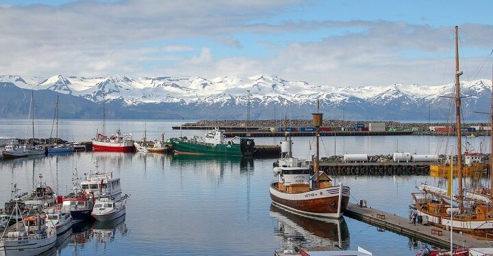 Иллюстративное фото \ Pixabay.com