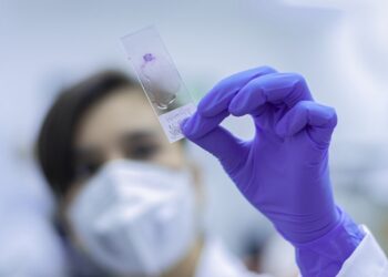 Иллюстративное фото \ Pixabay.com