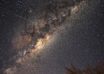 Иллюстративное фото \ Pixabay.com