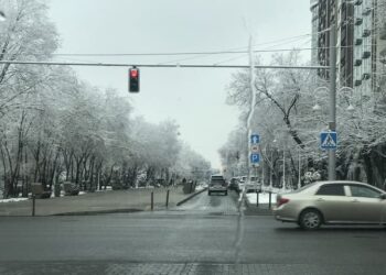 Фото: Оptimism.kz