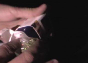 Фото: пресс-служба ДП Туркестанской области