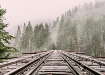 Иллюстративное фото \ Pixabay.com