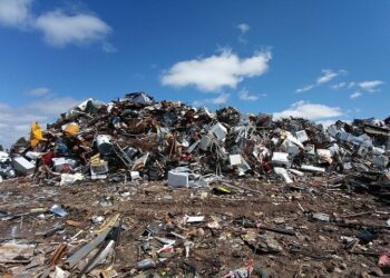 Иллюстративное фото \ Pixabay.com