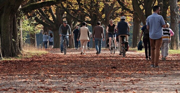 Иллюстративное фото \ Pixabay.com