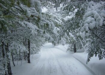 Иллюстративное фото \ Pixabay.com