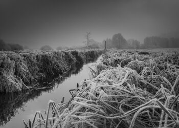 Иллюстративное фото \ Pixabay.com