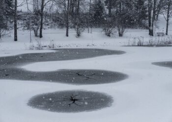 Иллюстративное фото \ Pixabay.com