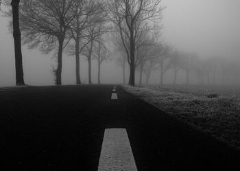 Иллюстративное фото \ Pixabay.com