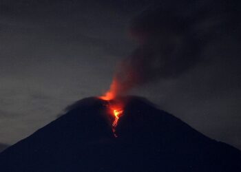 Фото: © Reuters