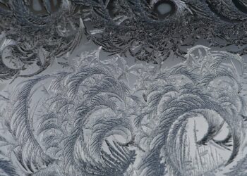 Иллюстративное фото \ Pixabay.com