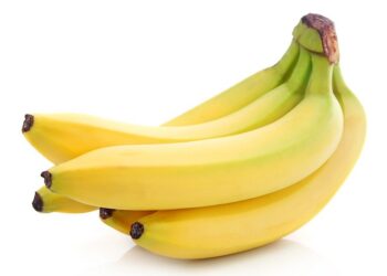 Иллюстративное фото \ Pixabay.com