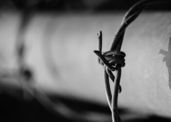 Иллюстративное фото \ Pixabay.com