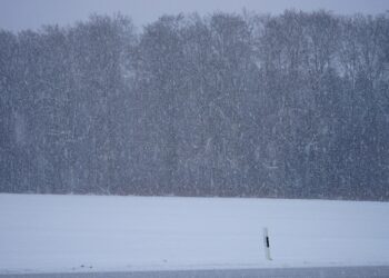 Иллюстративное фото \ Pixabay.com