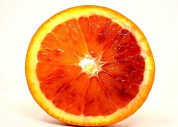 Иллюстративное фото \ Pixabay.com