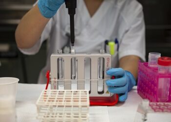 Иллюстративное фото \ Pixabay.com