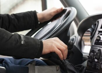 Иллюстративное фото \ Pixabay.com