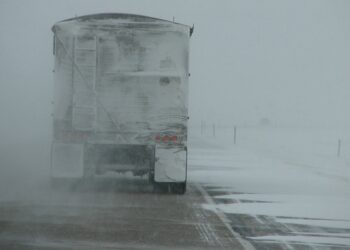 Иллюстративное фото \ Pixabay.com