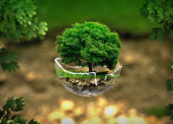 Иллюстративное фото \ Pixabay.com