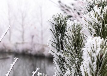 Прогноз погоды: зима, снег. Optimism.kz