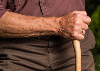 Иллюстративное фото \ Pixabay.com