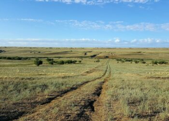 Иллюстративное фото \ Pixabay.com