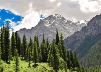 Иллюстративное фото \ Pixabay.com