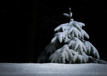 Иллюстративное фото \ Pixabay.com