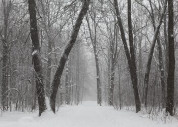 Иллюстративное фото \ Pixabay.com