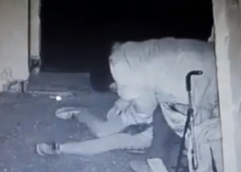 Фото: Кадр видео