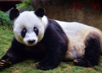 Фото: © globallookpress.com