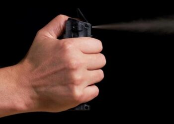 Фото: Shutterstock.com