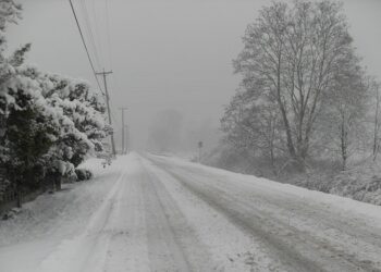 Иллюстративное фото \ Pixabay.com