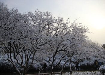 Иллюстративное фото \ Pixabay.com