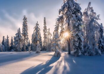 Иллюстративное фото \ Pixabay.com