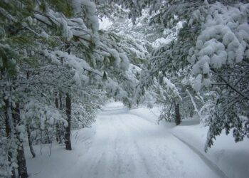 Иллюстративное фото \ Pixabay.com