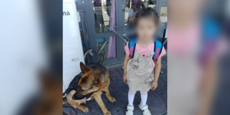 Двух пропавших детей за неделю нашли с помощью полицейской собаки в Шымкенте