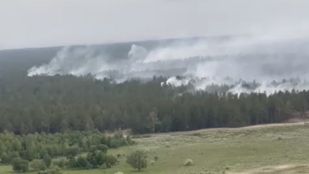 9 тысяч жителей Абайской области получили бесплатную связь