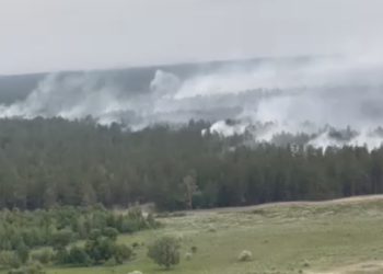 9 тысяч жителей Абайской области получили бесплатную связь