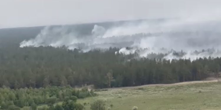 9 тысяч жителей Абайской области получили бесплатную связь