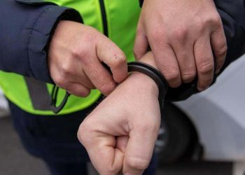 Кражу микроволновки из авто раскрыли в Астане