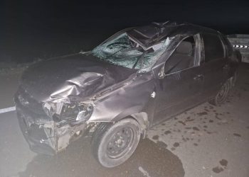 Выбежавшая на дорогу лошадь стала причиной ДТП в Павлодарской области