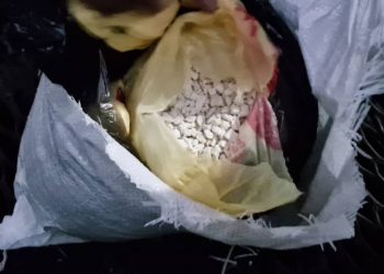 Свыше 67 кг героина и гашиша уничтожили полицейские Прииртышья