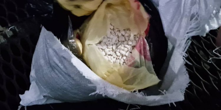 Свыше 67 кг героина и гашиша уничтожили полицейские Прииртышья