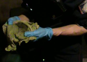 8 кг марихуаны нашли полицейские дома у акмолинца