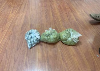 Свыше 2 кг гашиша изъяли полицейские на съемной квартире в Петропавловске