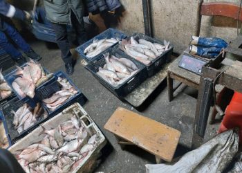 63 кг рыбы изъяли у браконьера, задержанного на берегу Балхаша